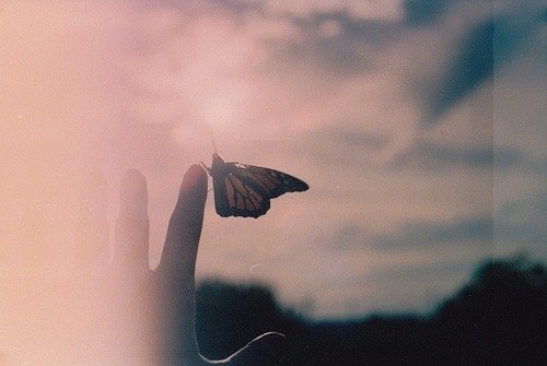 Nothing Explained | Владивосток