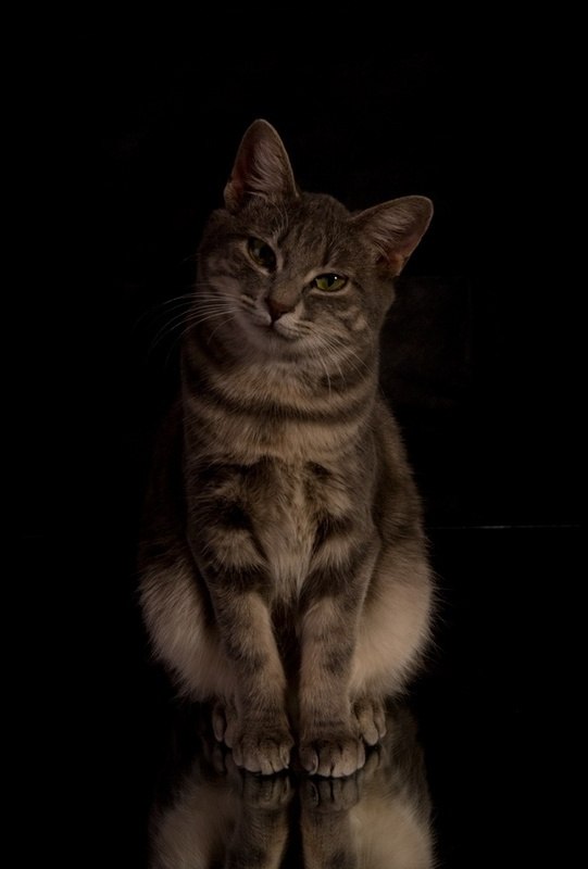 Сергей Корнийчук | Киев