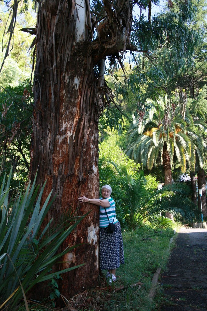Галина Соловьева | Санкт-Петербург