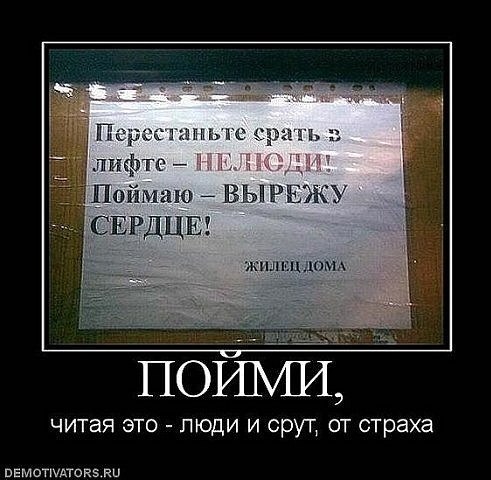 Илья Николаев | Kokopo