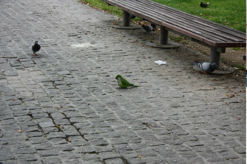 Анастасия Фаренич | Melbourne