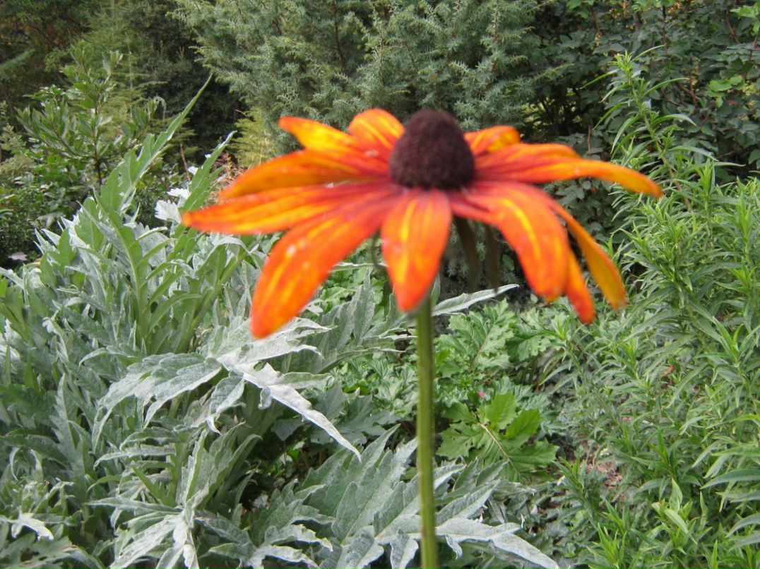 Анатолий Белемаев | Симферополь