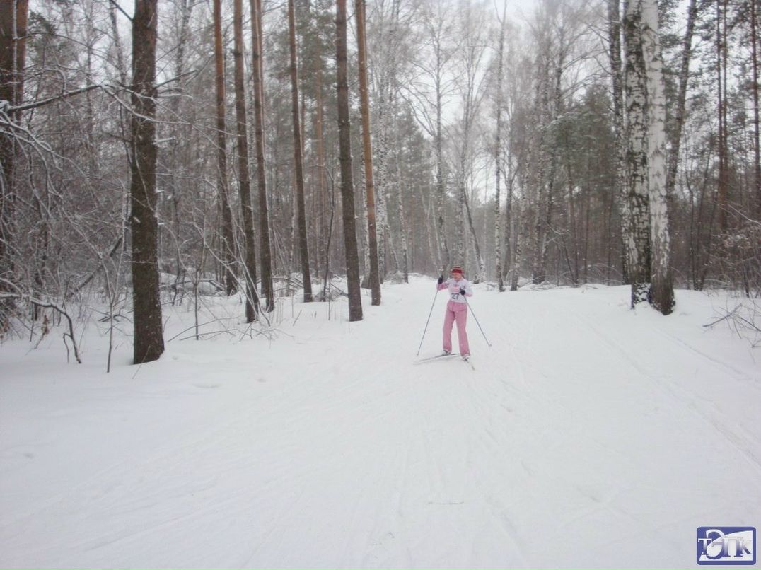 Анастасия Васюкова | Томск