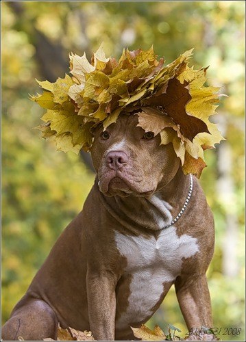 Виктор Бабкин | Нижний Новгород