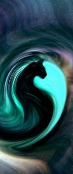 №19, Elena Molchanova, 39 лет, Волгоград №19, Elena Molchanova, 39 лет, Волгоград