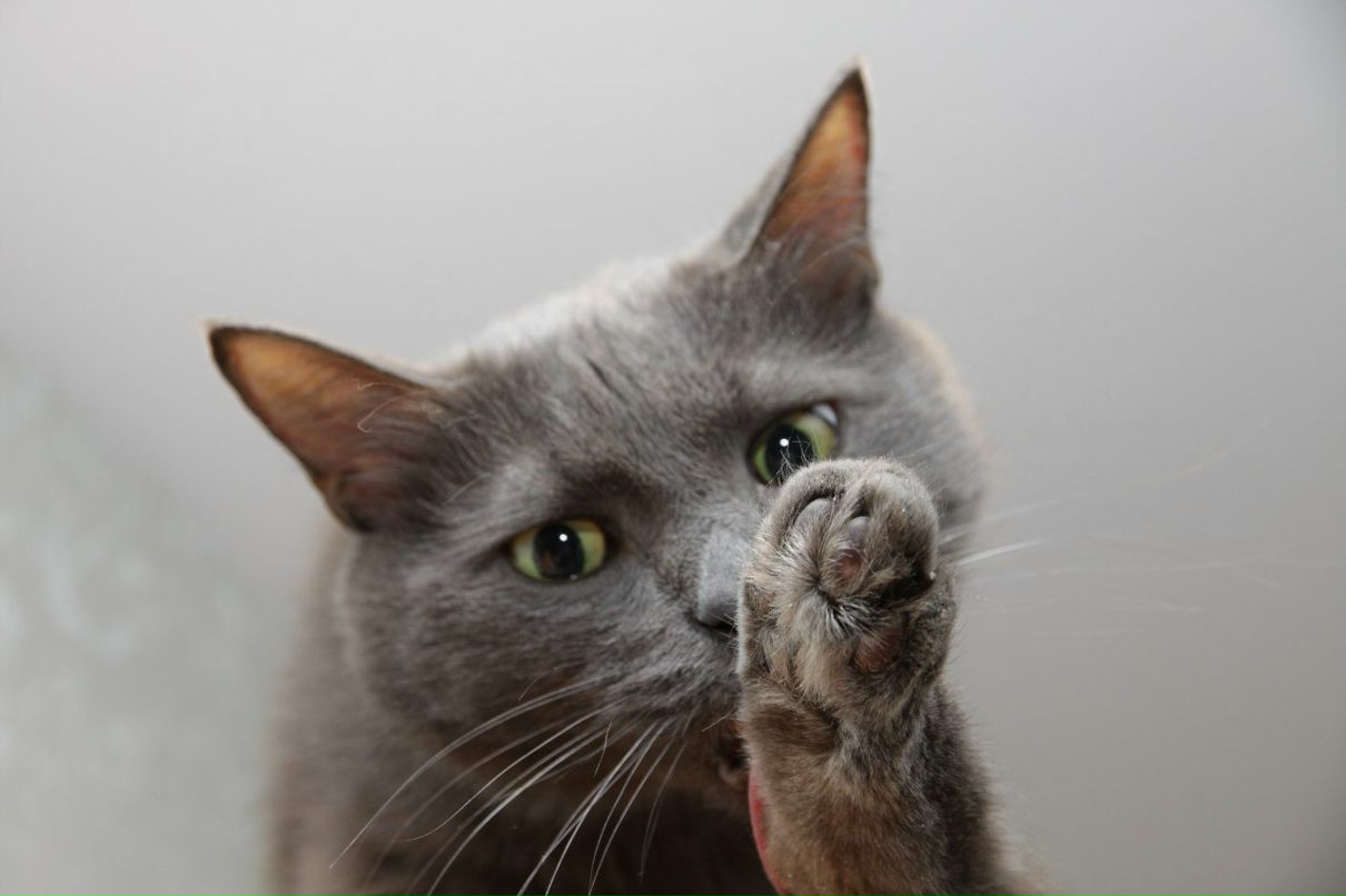 Анастасия Денисайко | Москва