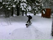 №19, Николай Шапкин, 10.4.1989, 36 лет, Москва, Россия