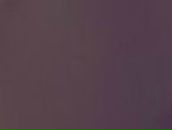 Зоя Сайбель | Краснодар