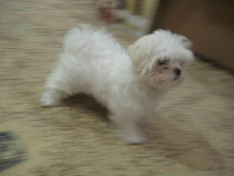 №111, Ириша Соколова, Москва №111, Ириша Соколова, Москва