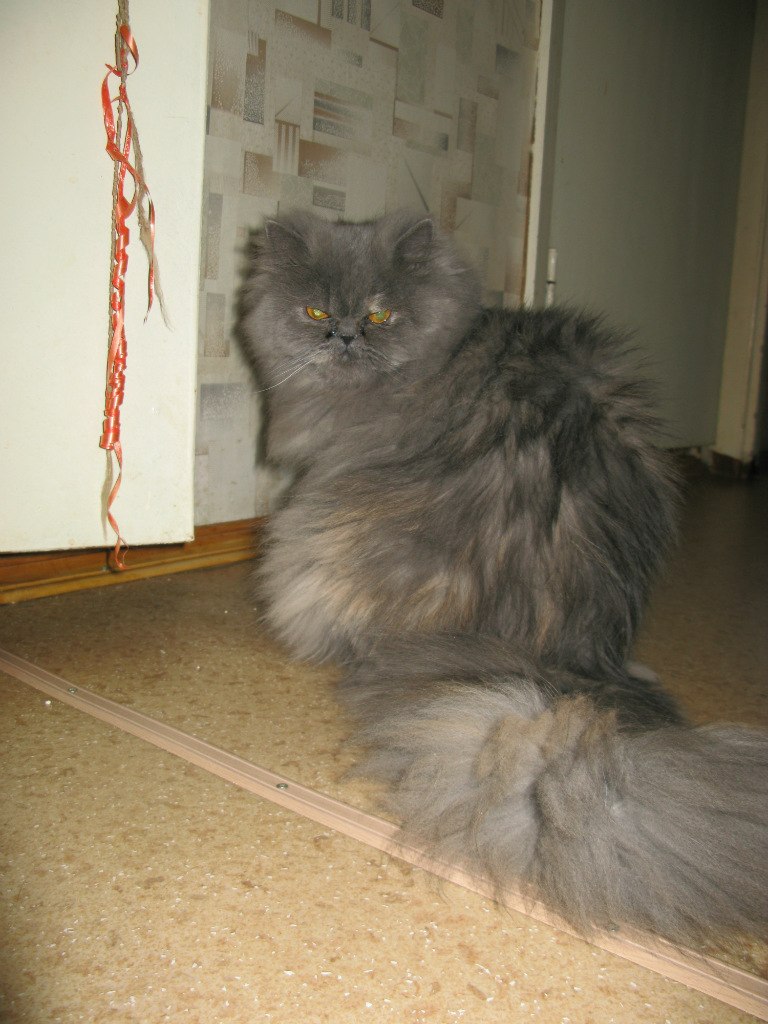 Оксана Корельская Васильевна | Северодвинск