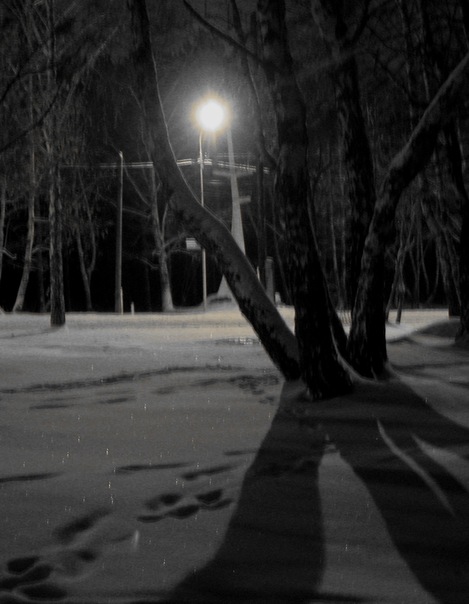 №122, Вера Тулина, Тюмень №122, Вера Тулина, Тюмень