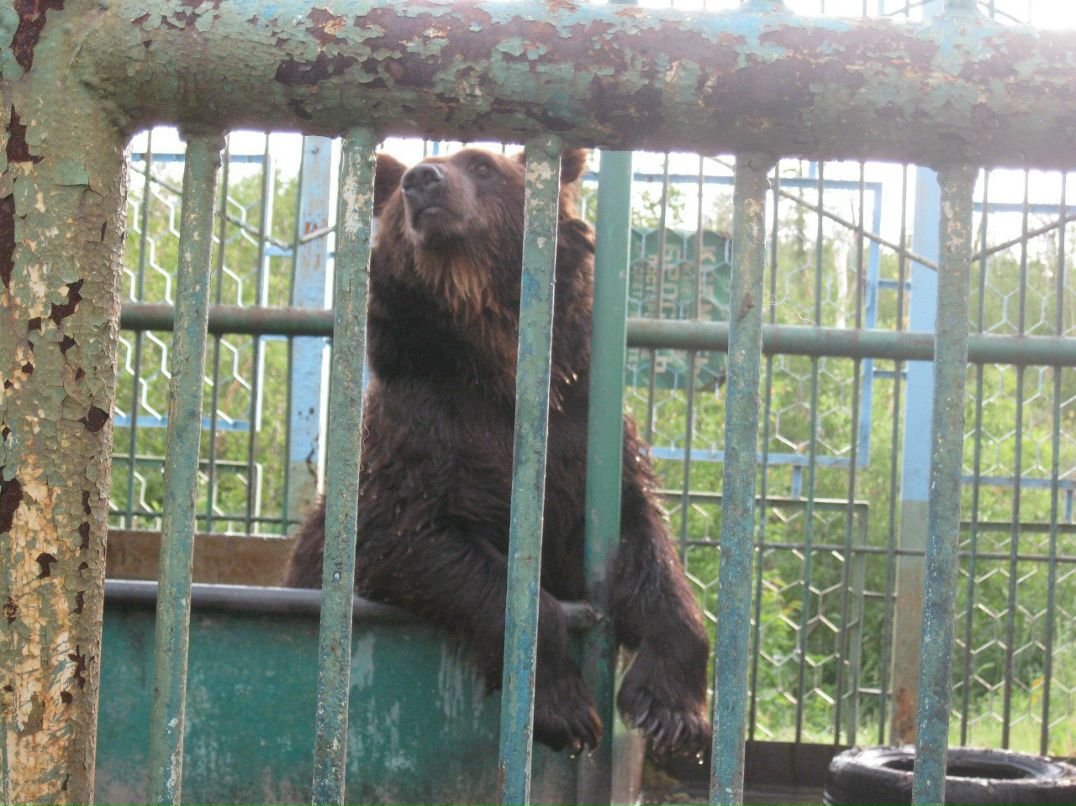 Наталья Киселёва | Томск