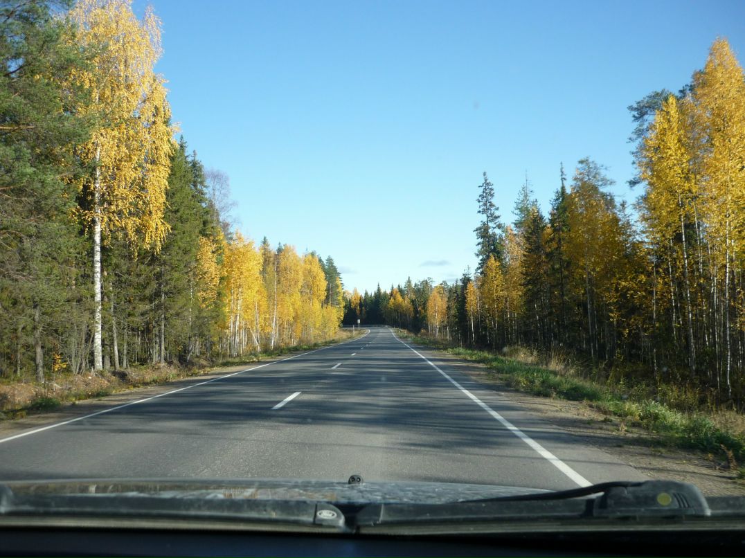 Александр Михеев | Архангельск