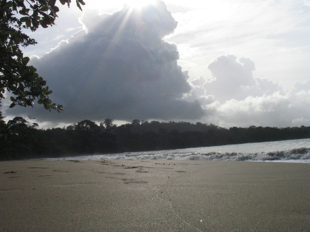 Евгений Диаченко 