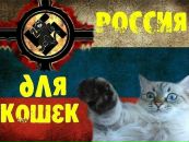 №34 Тима Иванов : профиль, фото, статус - ВКонтакте