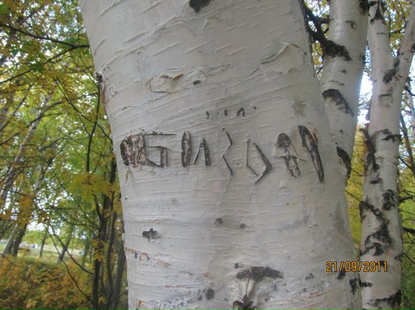 №13, Сергей Бизюков №13, Сергей Бизюков