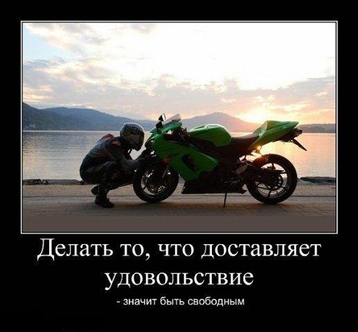 Сергей Вальнер | Плодовое