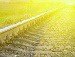 Рифат Юсипов | Москва