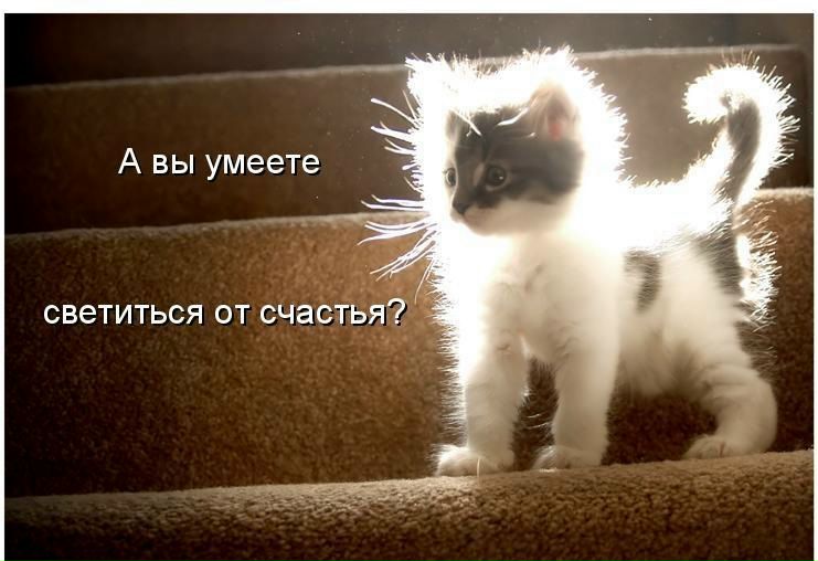 №12, Хадижка Магомедова, Нижний Новгород №12, Хадижка Магомедова, Нижний Новгород