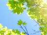 Анастасия Горбачева | Могилёв