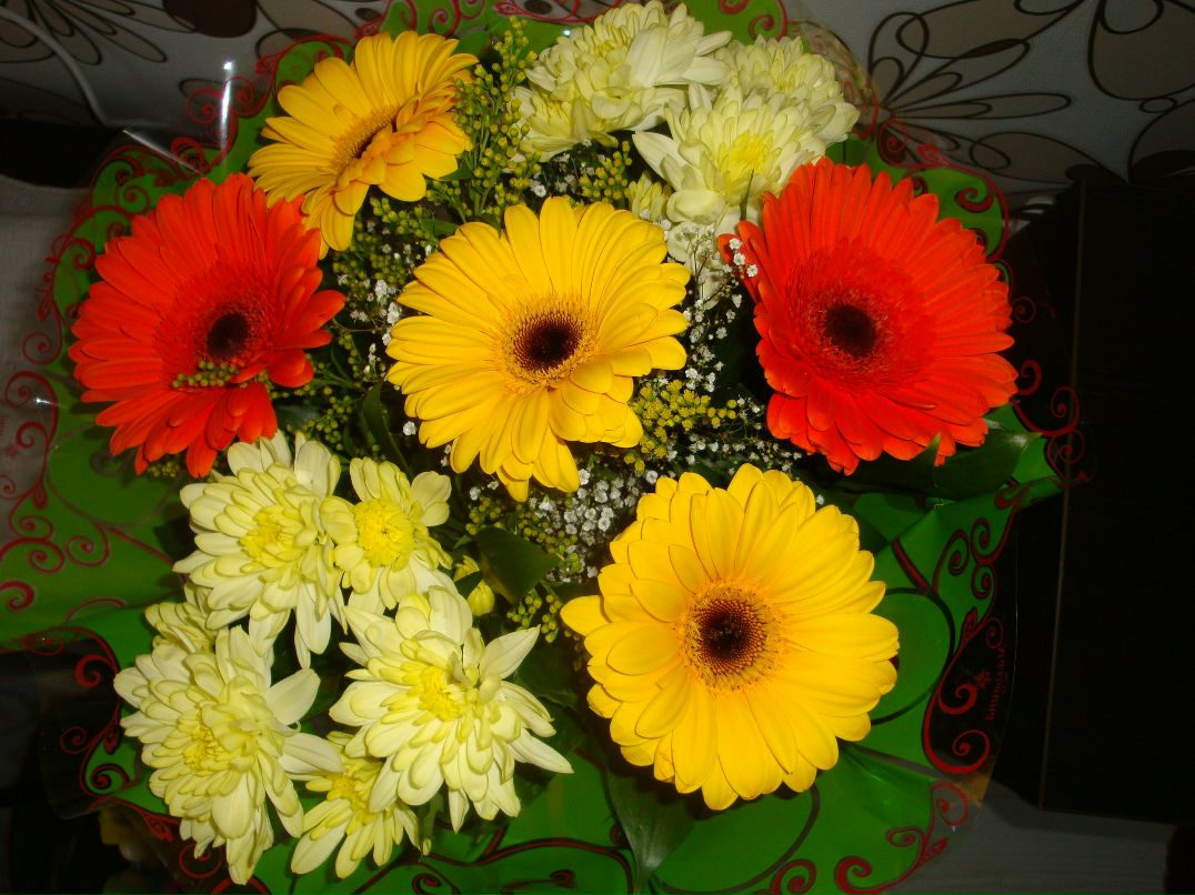 Юлия Карвонен | Петрозаводск