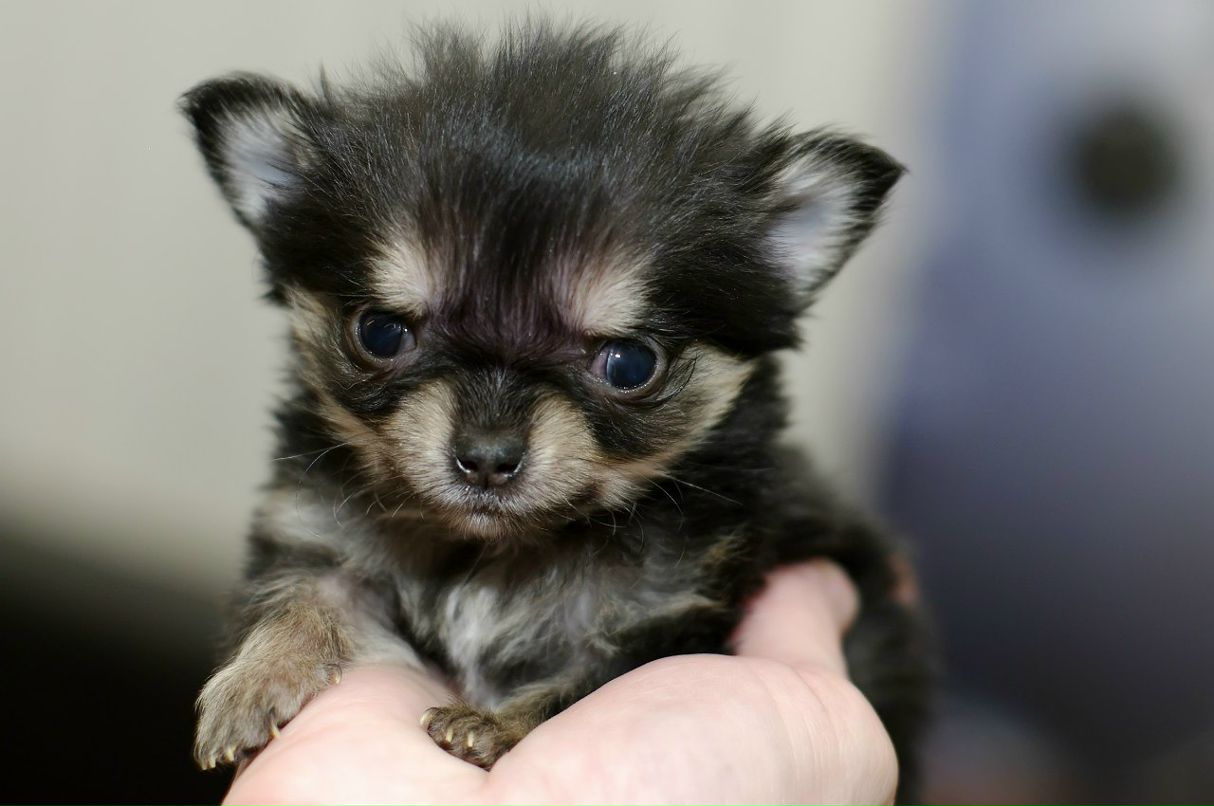 Алина Гусева | Харьков