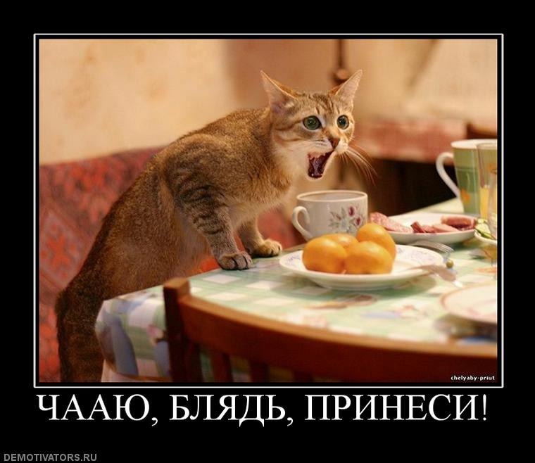 Александр Винниченко | Харьков