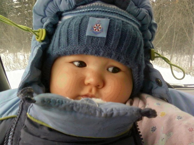 Аниса Матынова | Чайка