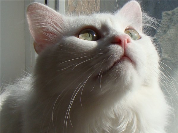 Яна Малинина | Николаев