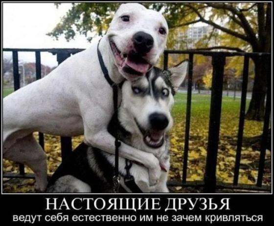 Lusien Ocharovatelnaya | Boston