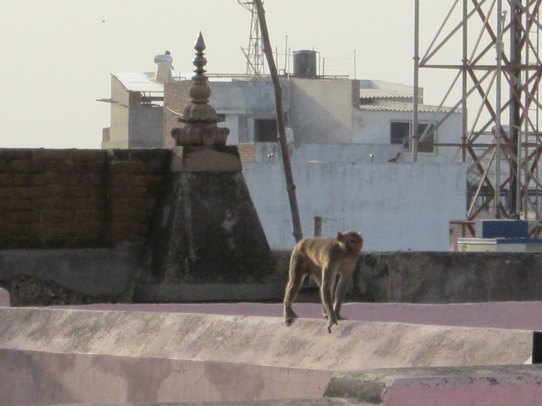 Rust Rust | Санкт-Петербург