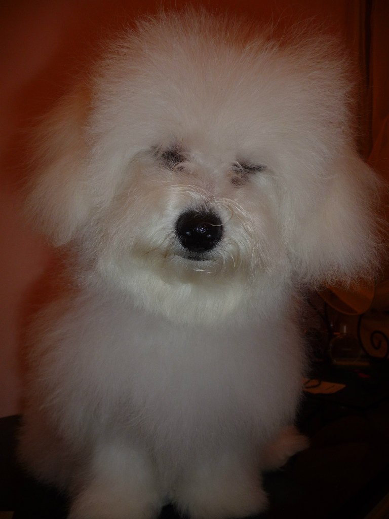 Наталья Волкова | Люберцы