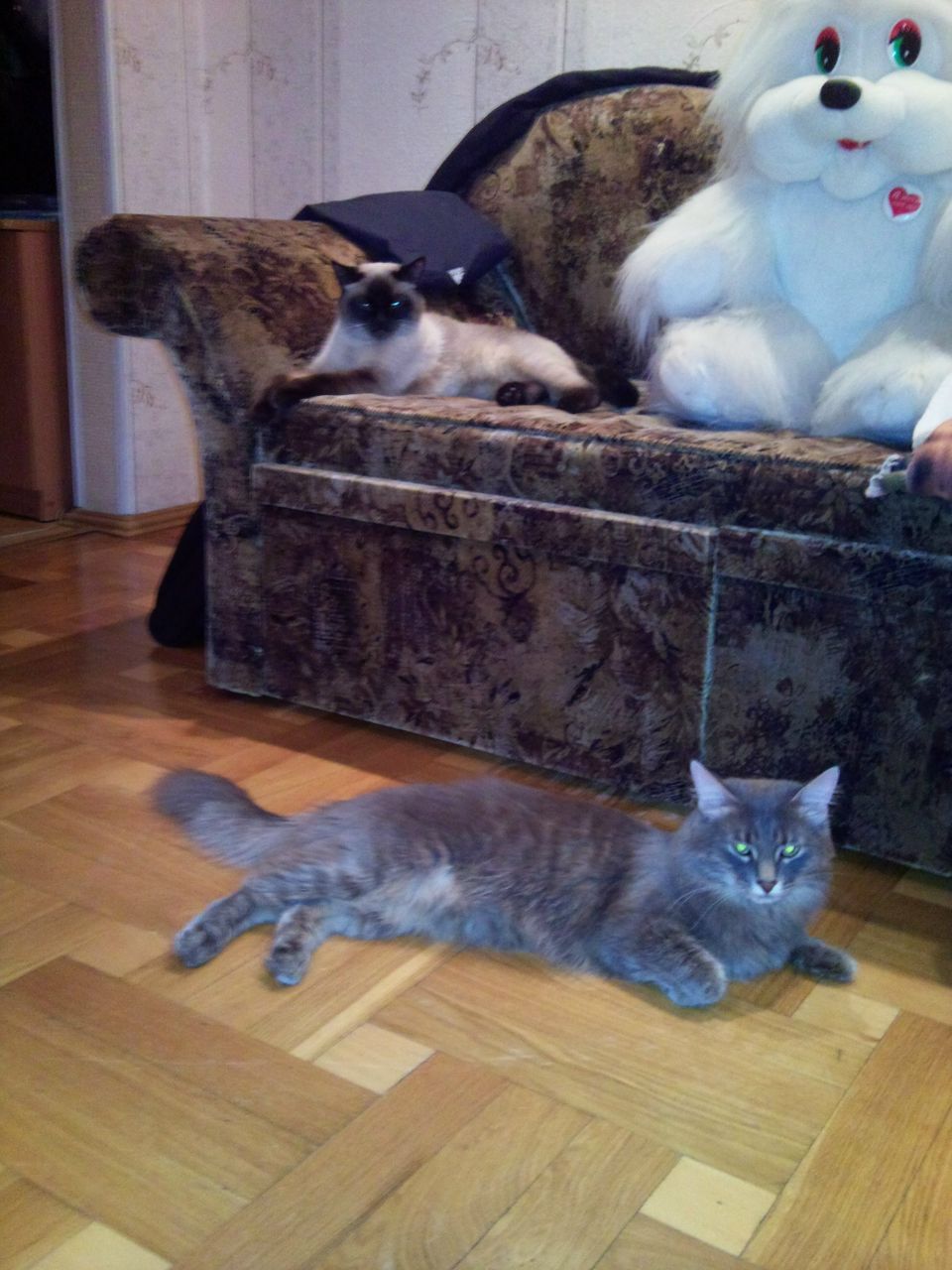 Регина Макаева * RejiK* | Уфа