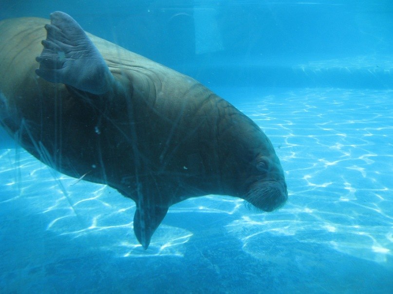 Марина Набиева | Москва