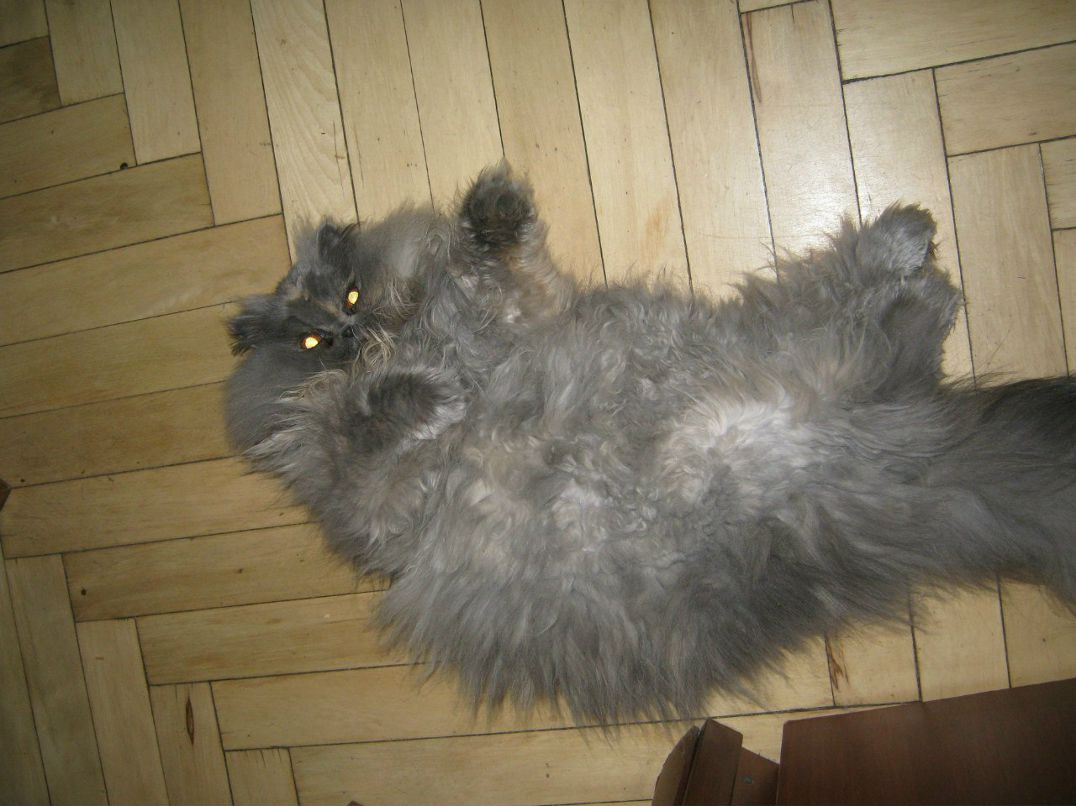 Макс Романов | Санкт-Петербург