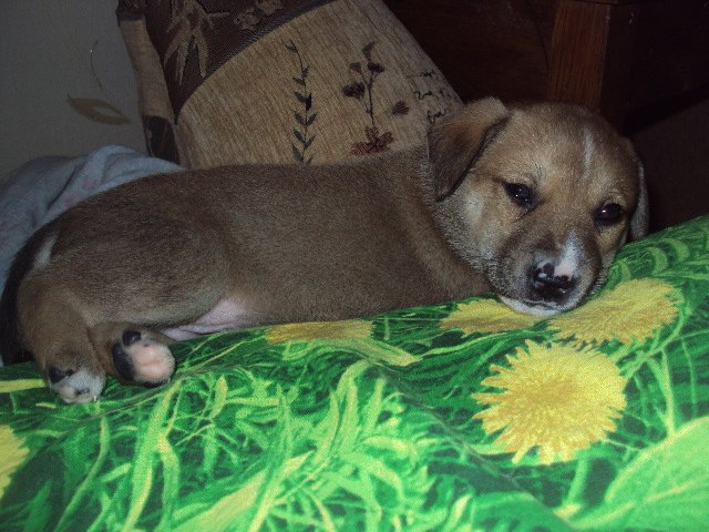 Елена Щербакова | Архангельск