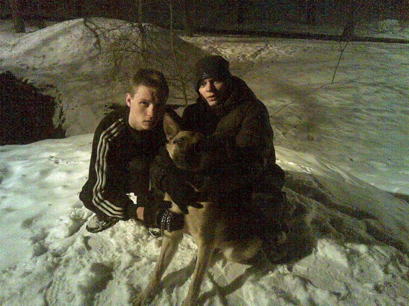 Николай Телицын | Полтава