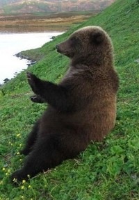 Сергей Морозов