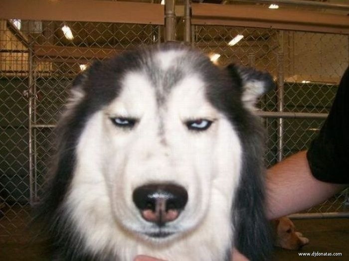 Артем Кириллов | Мариуполь