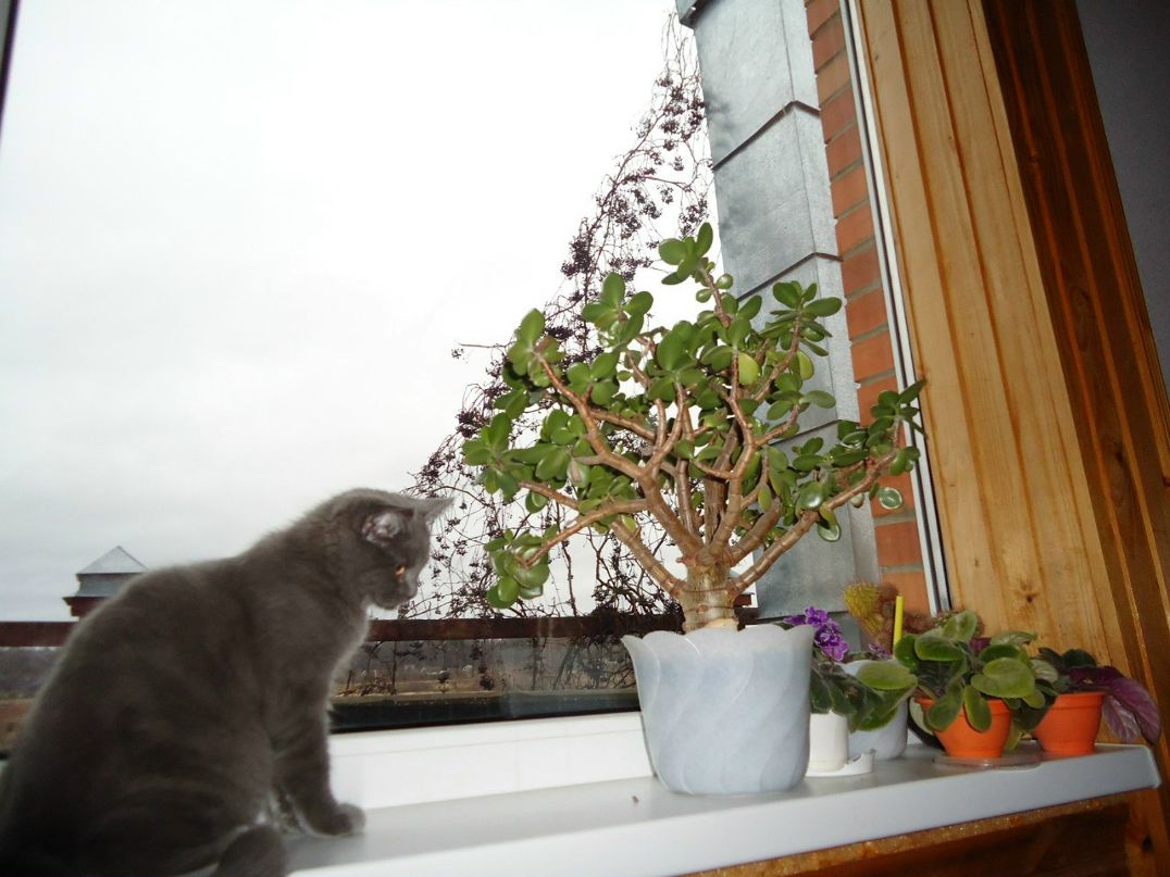 Elena Makeeva | Санкт-Петербург