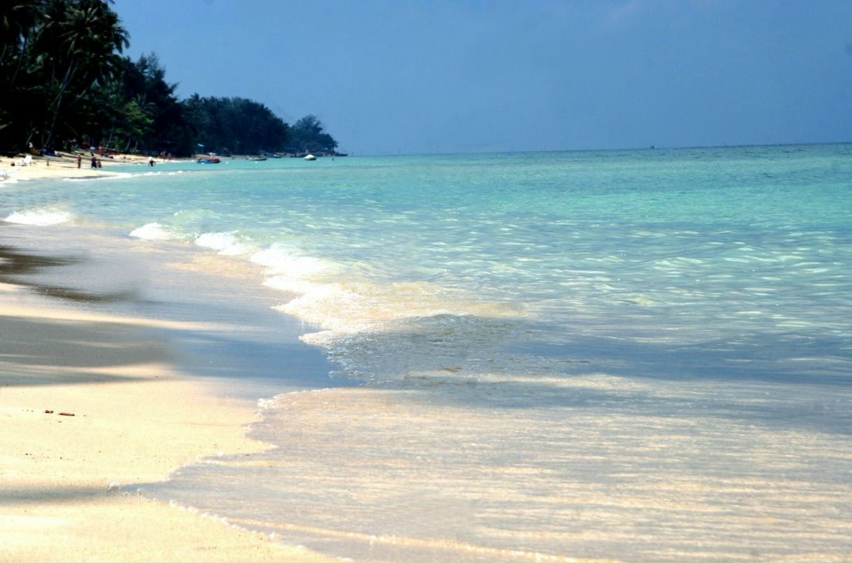 Алиса Есеева | Москва