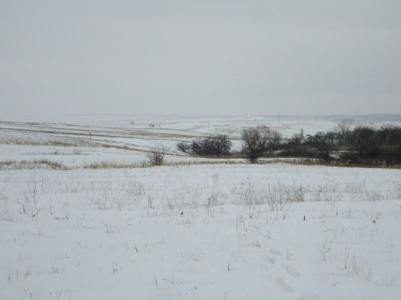 Дима Хачев | Донецк