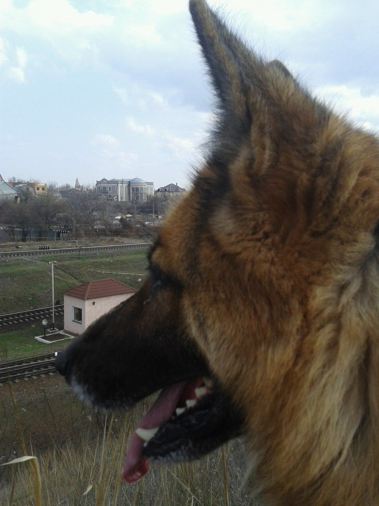 Наталия Шевченко | Одесса