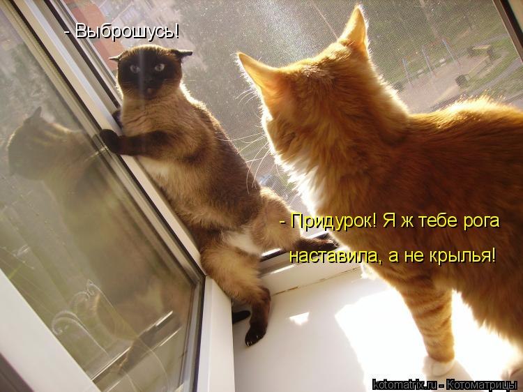 Сергей Говоруха Сварог | Харьков