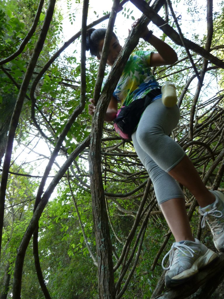 Luis Rincon | Bucaramanga