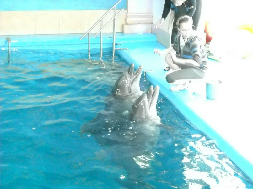 Танюха Безпальчая | Сумы