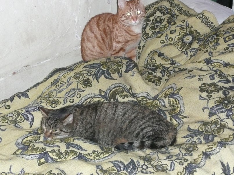 Валентина Соколова | Санкт-Петербург