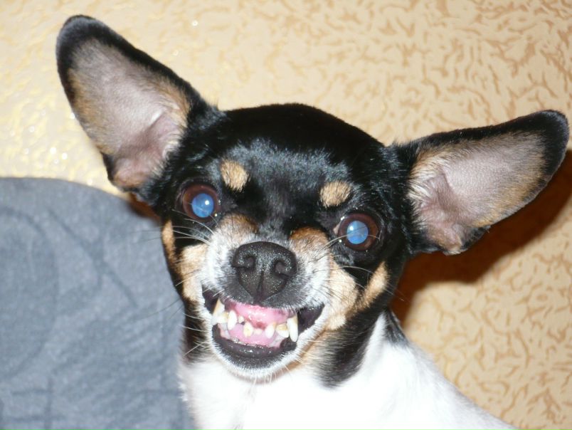 №2, Валерия Берестова №2, Валерия Берестова