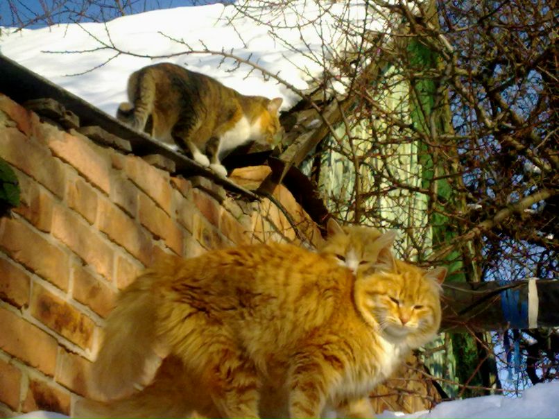 Владимир Юдинцев | Бахмут / Артемовск