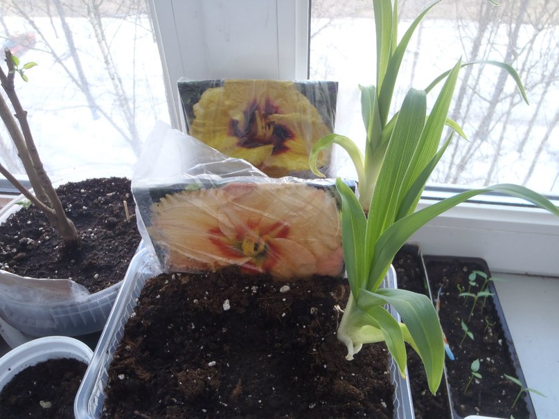 Марина Курилович | Санкт-Петербург